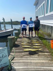 A large sea bass caught during a fishing trip in Hatteras