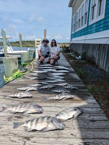 Four sheepshead fish caught during a fishing trip in Hatteras