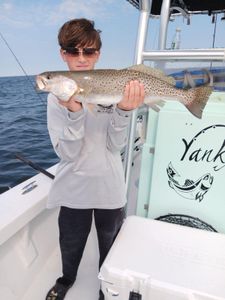 Spotted Weakfish measuring 22 inches caught while fishing in Hatteras