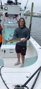 Spotted Weakfish caught in NC