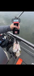 Fishing in Emory