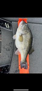 One fishing rod in the water at Emory