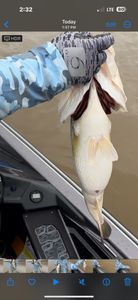 Fishing in TX