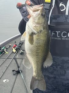 Largemouth Bass caught in Emory