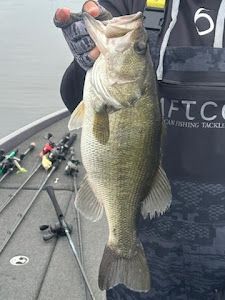 A largemouth bass caught in Emory