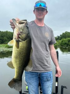 A largemouth bass fish caught in Emory