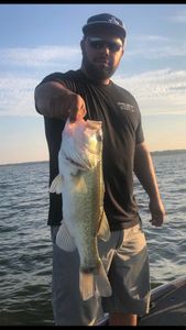 Largemouth Bass, 21 inches, caught while fishing in Emory