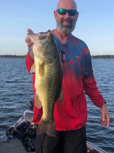 Largemouth bass caught while fishing in Emory