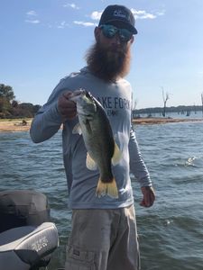 Largemouth bass caught while fishing in TX