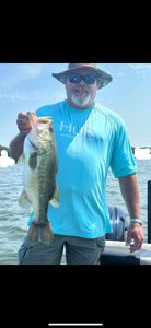 Largemouth Bass caught while fishing in TX