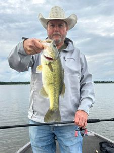 Largemouth Bass caught while fishing in TX