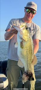 Largemouth bass caught fishing in TX