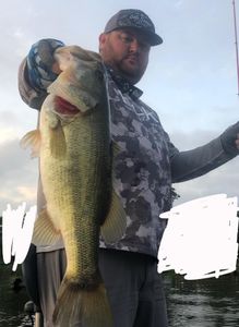 Top Bass Fishing Trip in Lake Fork