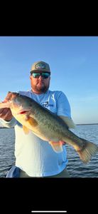 Smallmouth bass caught while fishing in TX