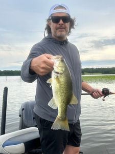 Largemouth bass caught in TX