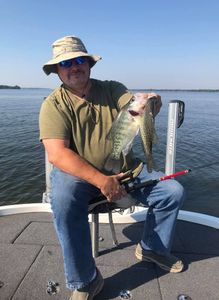 Photograph of a white crappie fish caught in Emory