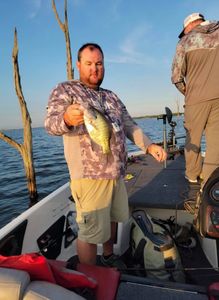 White crappie fish caught in TX