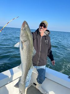Striper