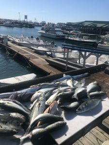 Two fishing rods with a scenic New Jersey backdrop