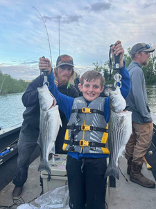 Two striped bass caught in Colusa