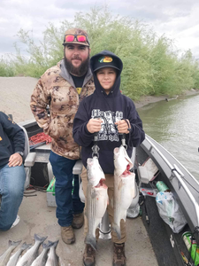 Two striped bass, fishing in CA