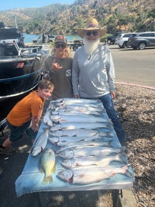 Three anglers fishing in California with three big fish.