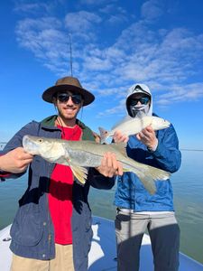 Two anglers with their catch of snook and redfish in FL