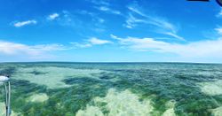 Anglers fishing in FL