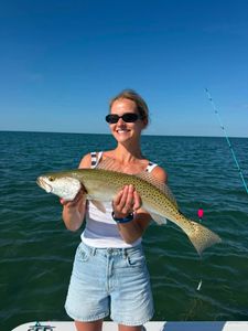 Speckled trout catch while fishing in Islamorada FL