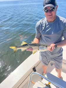 Snook fish caught in Islamorada while fishing