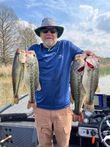 Perfect cast on a sunny Ridgeland day