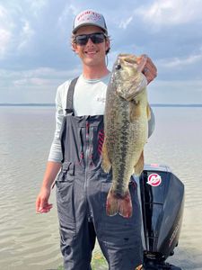 Largemouth Bass thriving in Ridgeland