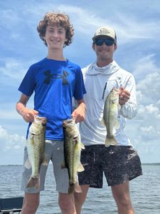 Two anglers holding three largemouth bass and florida bass in MS