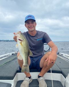 Largemouth bass caught in MS