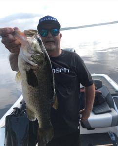 Largemouth bass caught in MS