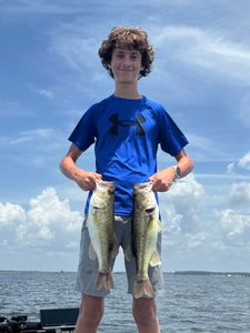 Fish-Species