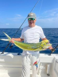Vibrant mahi mahi magic!