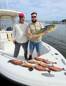 5 big fish caught while fishing in Jensen Beach