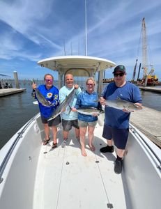 3 blackfin tuna fish caught in FL