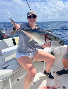 Blackfin Tuna fishing in FL