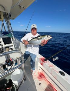 Blackfin Tuna caught while fishing at Jensen Beach
