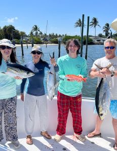Four Blackfin Tuna, 17 inches long, caught by four people while fishing at Jensen Beach
