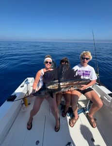 Epic sailfish catch on calm blue waters