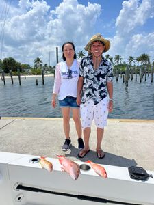 It's a great day for snapper fishing in Florida!