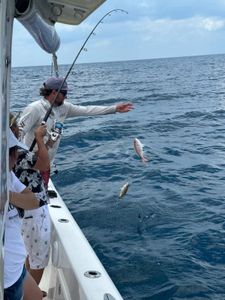 Amazing day for Jensen Beach fishing!