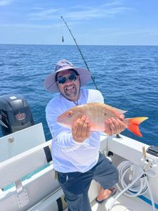 Mutton snapper reeled in Jensen Beach