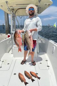 Bountiful Jensen Beach fishing charters!