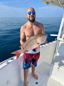 Nice day fishing for snapper in FL waters!