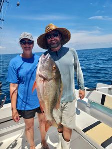 Huge snapper off the waters of Jensen Beach