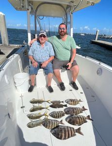 6 sheepshead, crevalle jack, and blue runner fish caught in FL